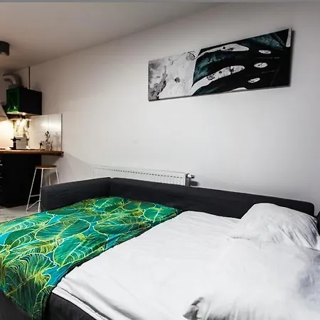 Apartment Zielony Apartament Gliwice