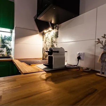 Zielony Apartament Gliwice Apartmán *