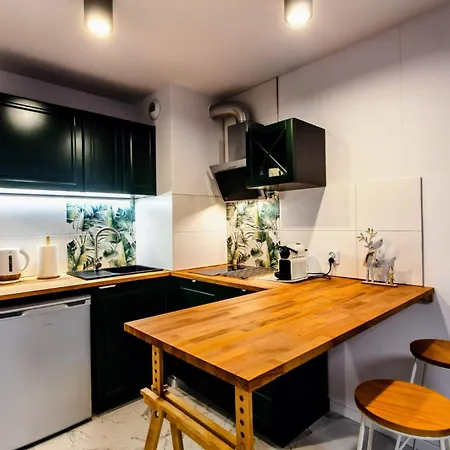Zielony Apartament Gliwice *