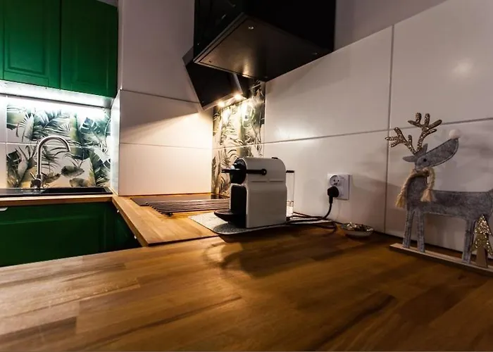 Zielony Apartament Gliwice Διαμέρισμα *